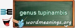 WordMeaning blackboard for genus tupinambis